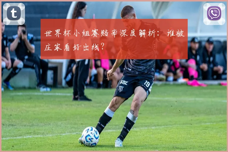 世界杯小组赛赔率深度解析：谁被庄家看好出线？