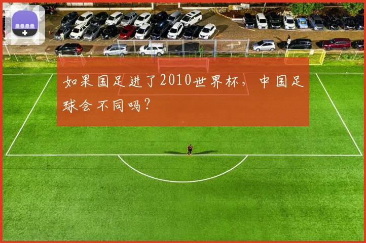 如果国足进了2010世界杯，中国足球会不同吗？