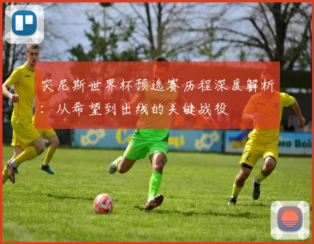 突尼斯世界杯预选赛历程深度解析：从希望到出线的关键战役