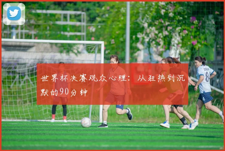 世界杯决赛观众心理：从狂热到沉默的90分钟